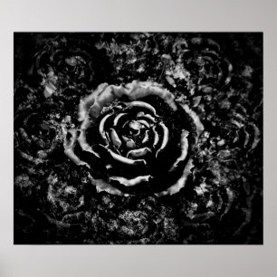 Gothic cemetery rose poster