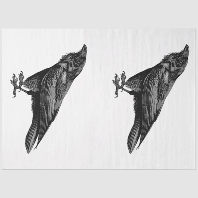 Gothic Enchantment Series Design 2 Tissue Paper (Front)