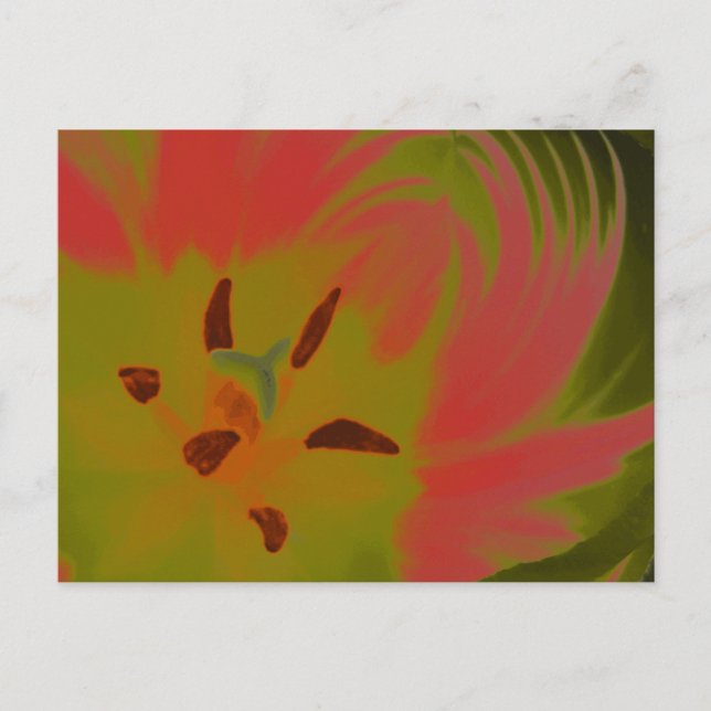 Gothic Gloomy Red Tulip Postcard (Front)