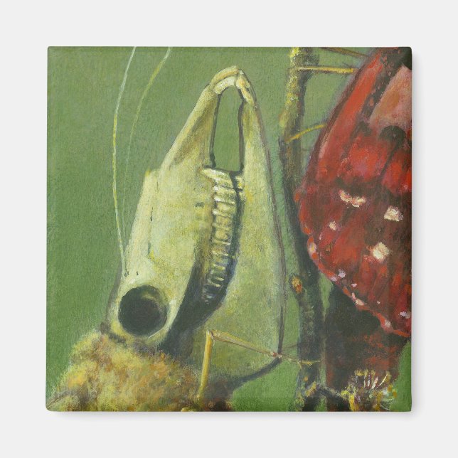 Gothic Moth Surreal Magnet (Front)