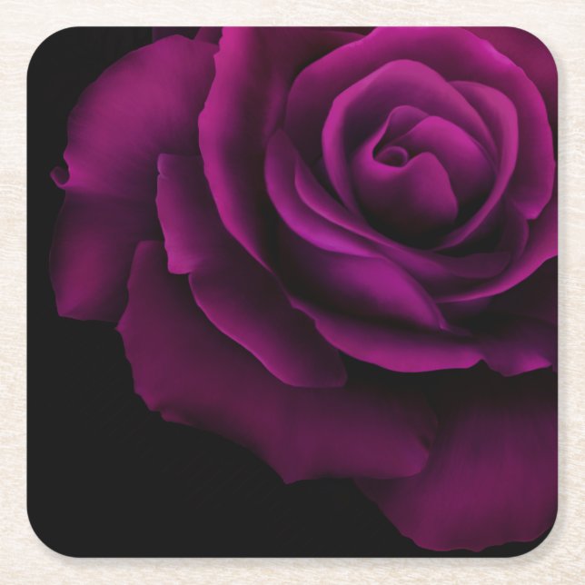 Gothic Purple-Red Rose Flower Square Paper Coaster (Front)