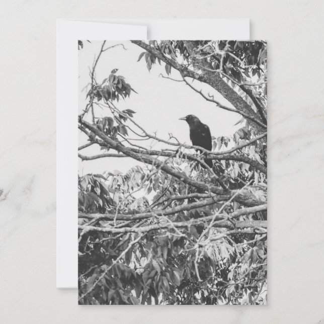 Gothic Raven Invitation (Front)