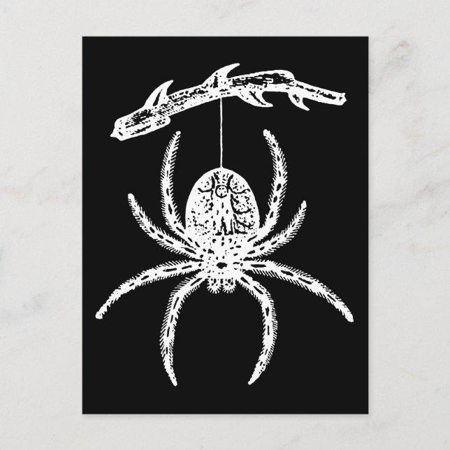 Gothic Spider Hanging From Branch Postcard (Front)
