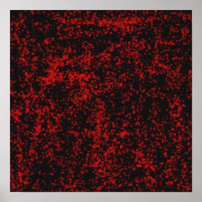 gothic stars poster (Front)