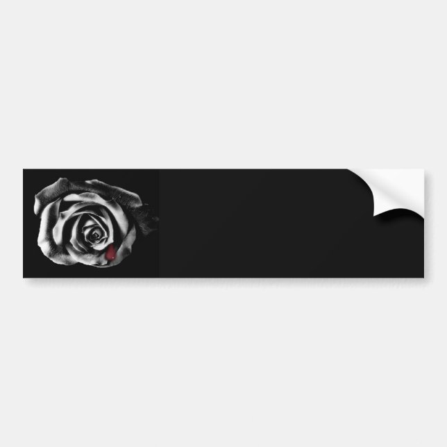Gothic Vampire Black rose bumper sticker (Front)