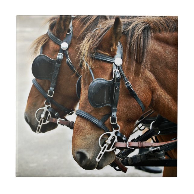 Gotland Ponies Tile (Front)