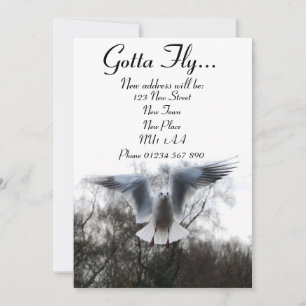Gotta Fly - New Address Cards