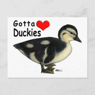 Gotta Love Duckies Postcard