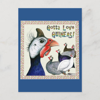Gotta Love Guineas! Postcard