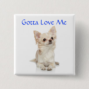 Gotta Love Me Long Haired Chihuahua Button Pin