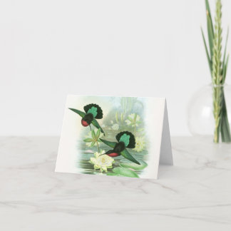 Gould Hummingbirds Waterlilies Note Cards