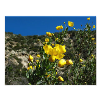 Gould Mesa Trail, CA Photo Print