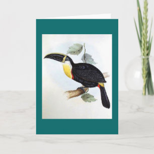 Gould - Osculant Toucan Card