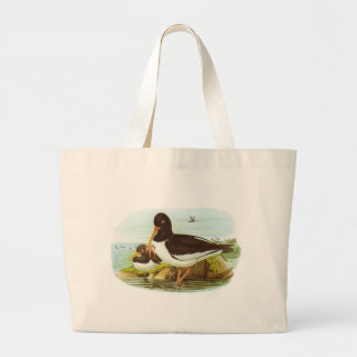 Gould - Oystercatcher - Haematopus ostralegus Large Tote Bag