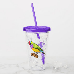 Gouldian finch bird cartoon illustration  acrylic tumbler