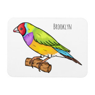 Gouldian finch bird cartoon illustration  magnet