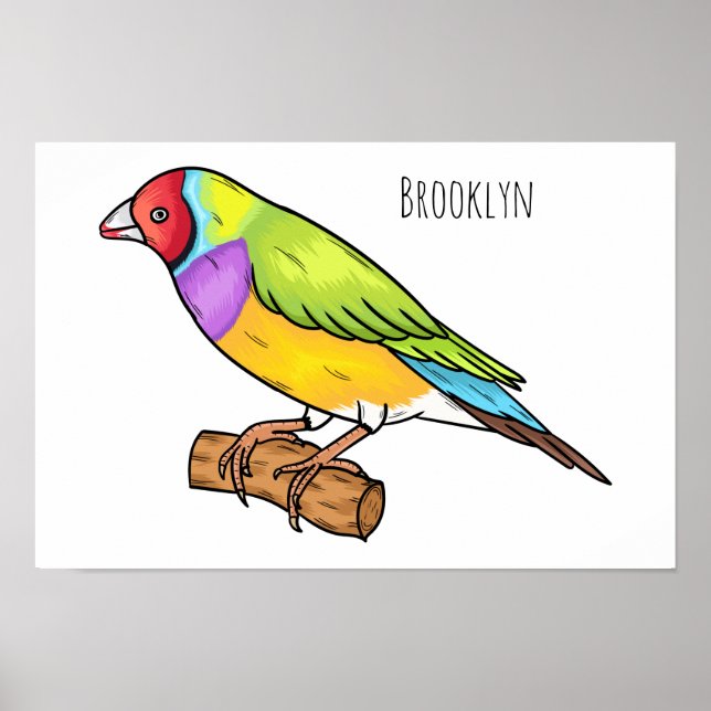 Gouldian finch bird cartoon illustration  poster (Front)
