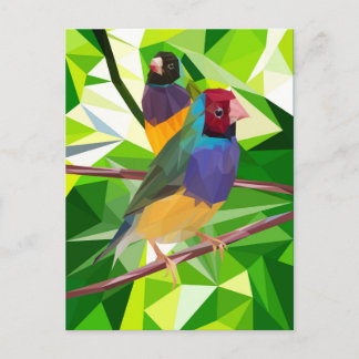 Gouldian Finch Duo Postcard
