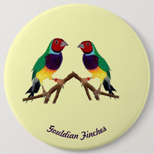 ~ Gouldian Finch ~ Personalised ~ 6 Cm Round Badge