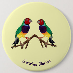 ~ Gouldian Finch ~ Personalized ~ 6 Cm Round Badge