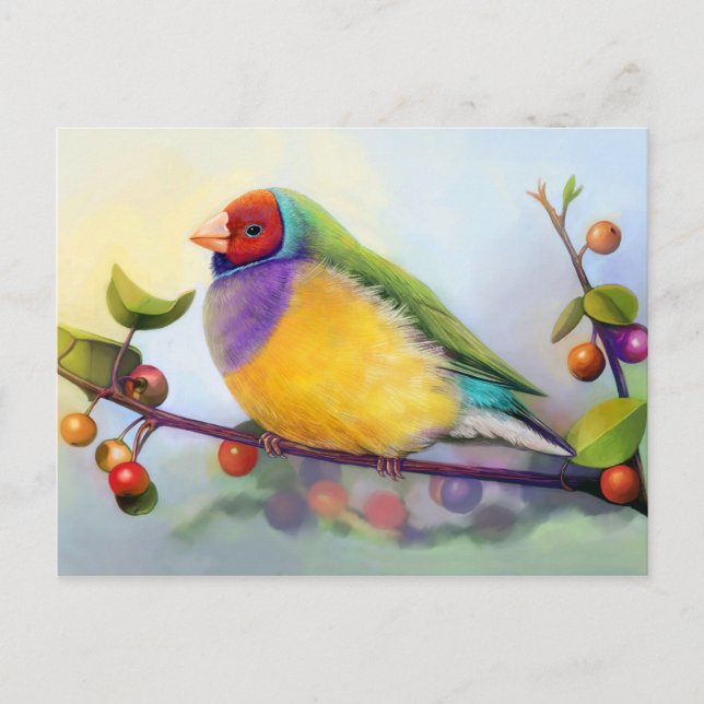 Gouldian finch realistic painting postcard (Front)