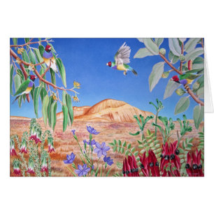 Gouldian Finches, Outback, Australia