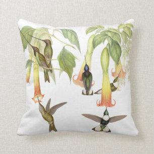 Goulds Hummingbirds Pillow