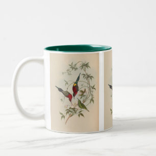Goulpourah Sun-Bird by John Gould Two-Tone Coffee Mug