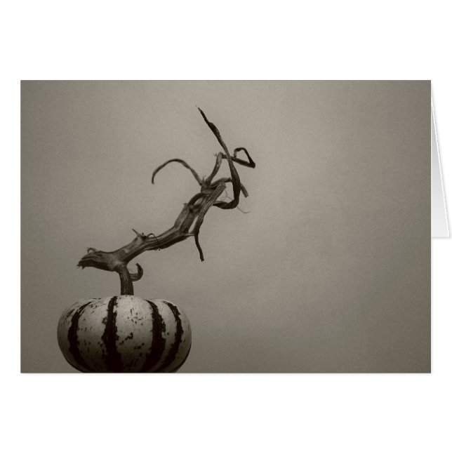 "gourd" by Larry Coressel (Front Horizontal)