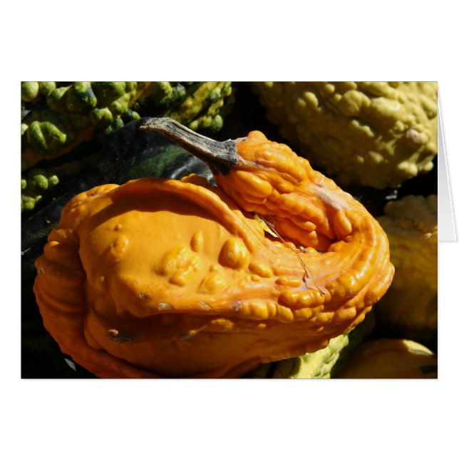 Gourd That Looks Like A Duck (Front Horizontal)