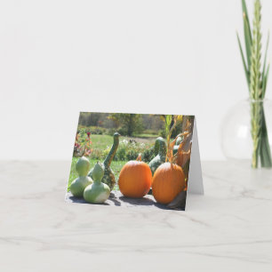 Gourds And Pumpkins Autumn Nature Photography  Note Card