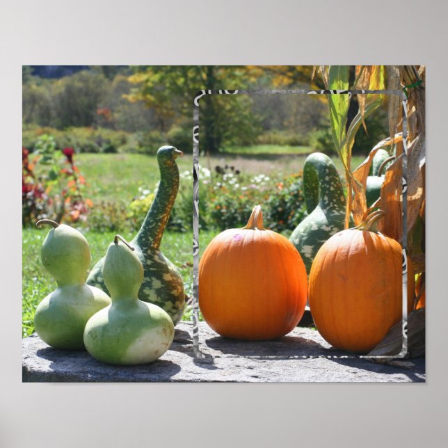 Gourds And Pumpkins Fall Add Your Photo Poster (Front)