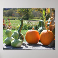 Gourds And Pumpkins Farm Stand 2 Fall