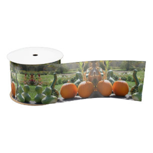 Gourds And Pumpkins Farm Stand 2 Fall Satin Ribbon