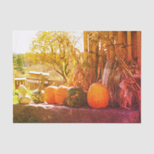 Gourds And Pumpkins Farm Stand Vintage Decoupage Tissue Paper
