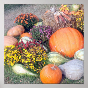 Gourds and Pumpkins Poster