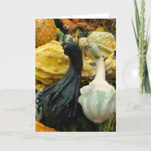 Gourds Card