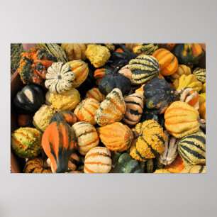 Gourds Galore! - poster
