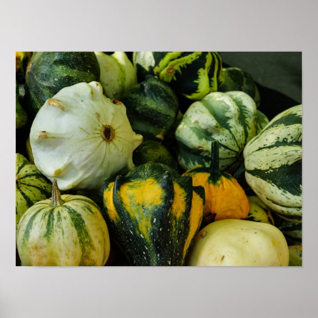 Gourds Galore Poster (Front)