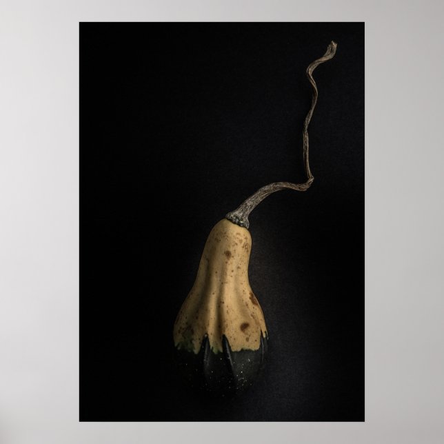 Gourds No 12 Color Version Poster (Front)