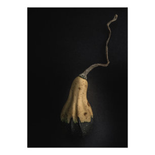 Gourds No 12 Colour Version Photo Print