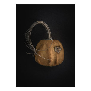 Gourds No 13 Colour Version Photo Print