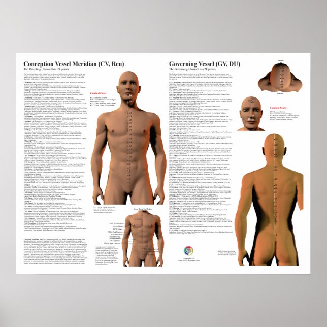 Governing Meridian Acupuncture Points Poster (Front)