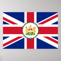 Governor Of Hong Kong, China flag