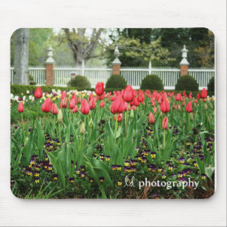 Governor's Tulips WM Mouse Pad