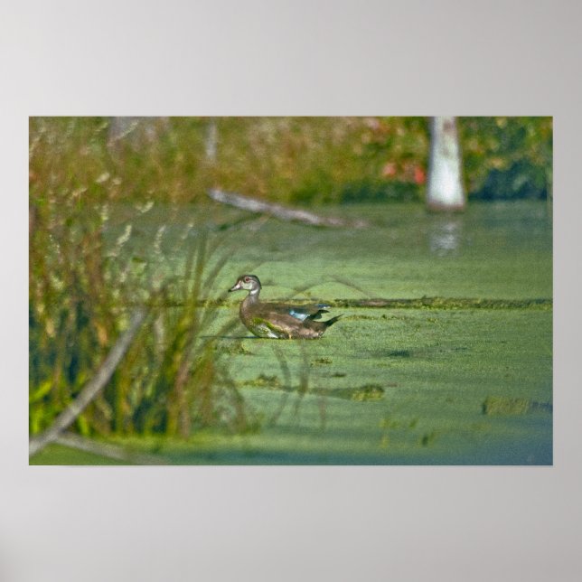 gp0003 poster (Front)