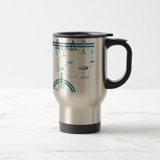 GPCR pathway Travel Mug (Right)