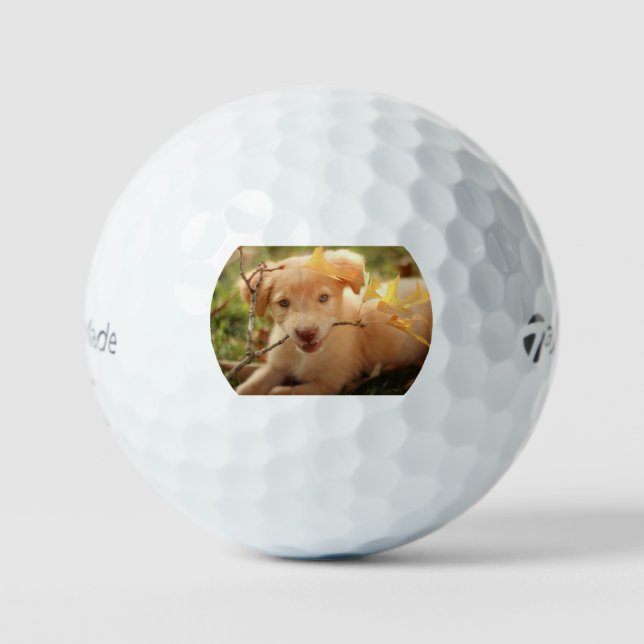 gr pup with branch golf balls (Front)