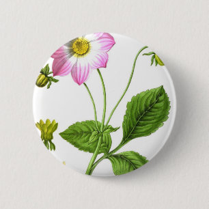 Grace 6 Cm Round Badge