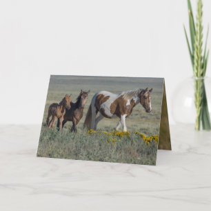 Grace and Her Two Fillies Wild Horse Greeting Card